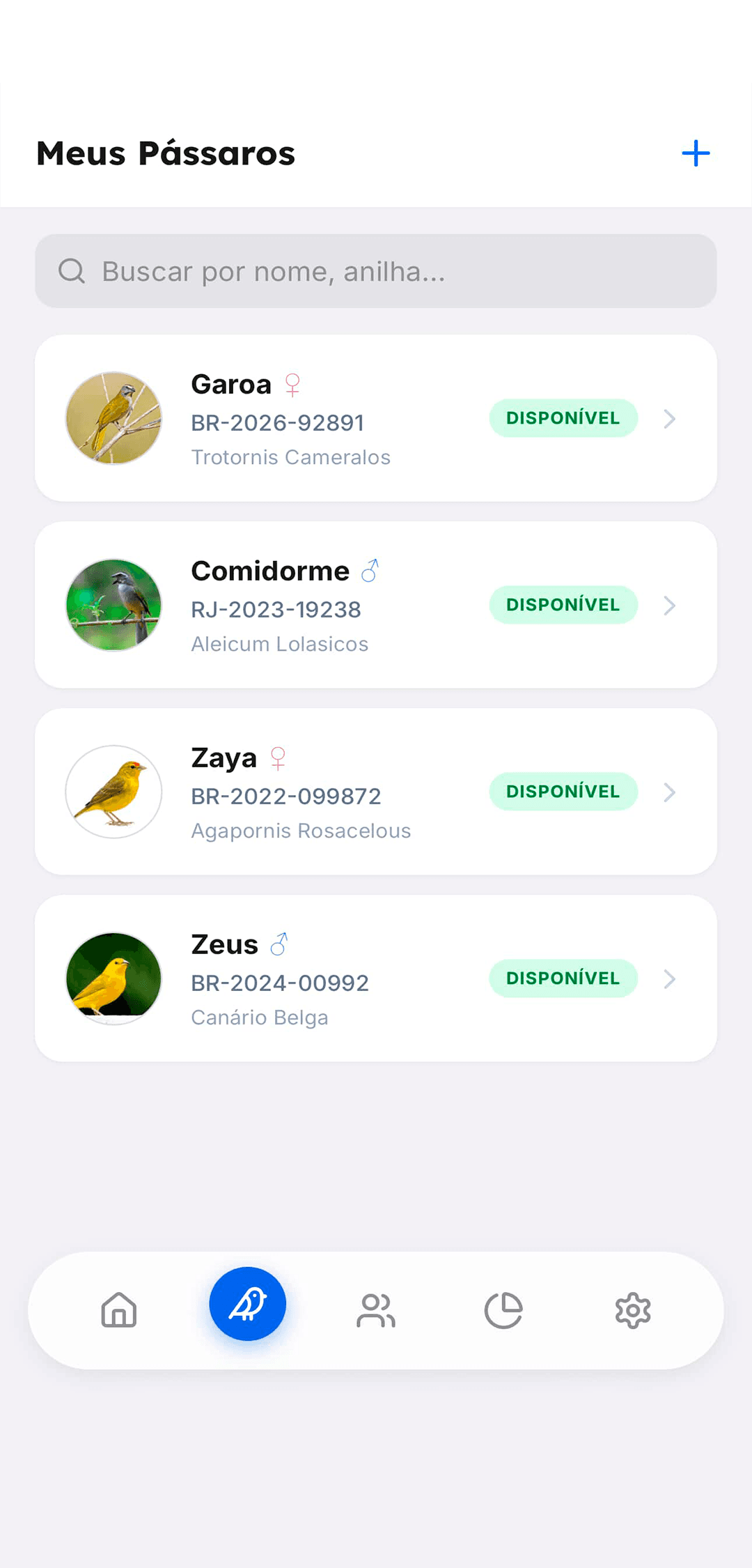 Lista de pássaros no Birdo