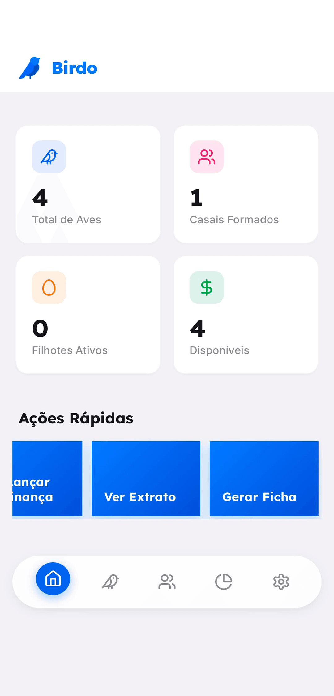 Dashboard financeiro Birdo