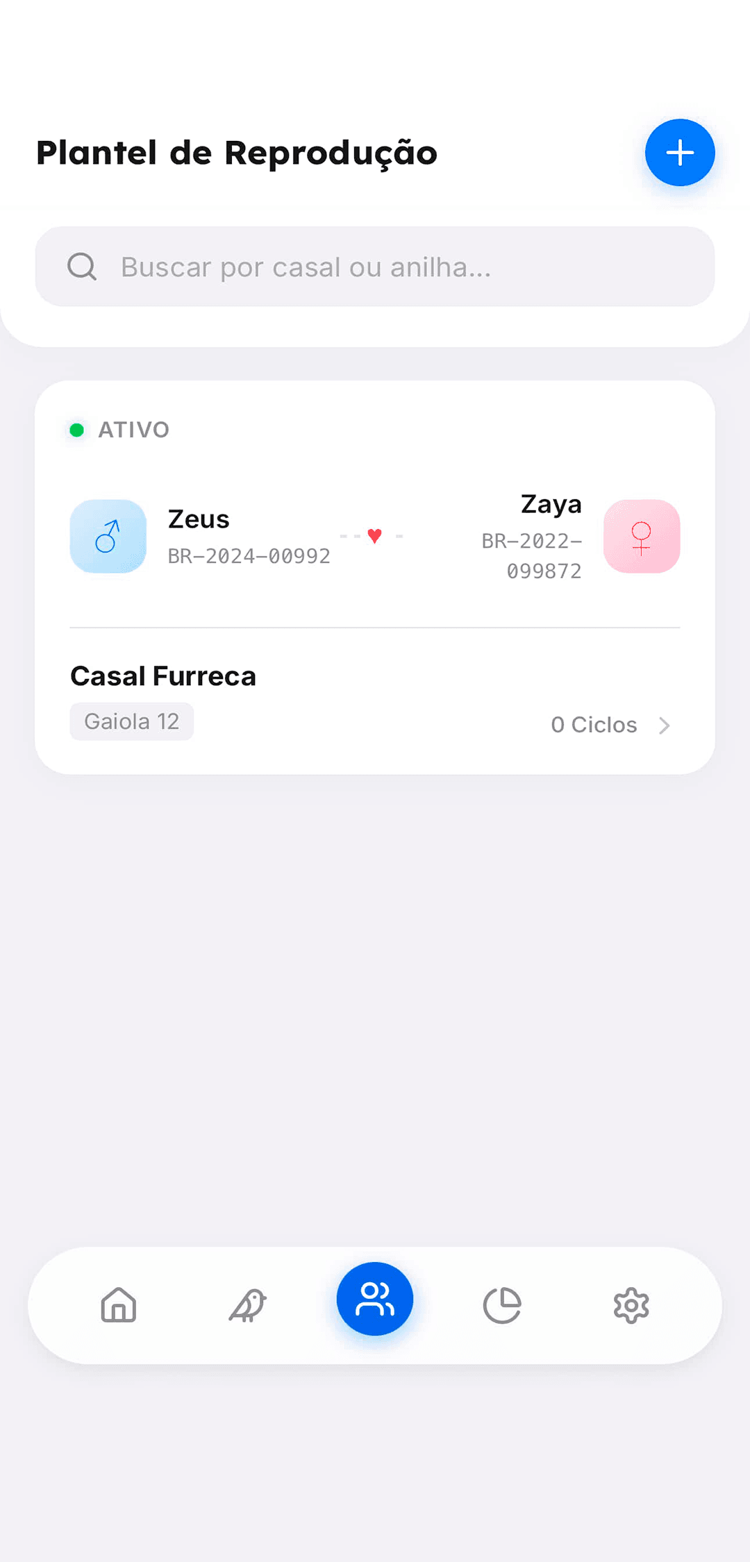 Tela de reprodução e casais